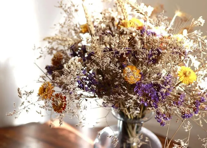 Casa de Férias Maison - Les Traversieres *